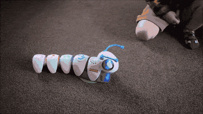 貴陽花溪區(qū)少兒編程培訓(xùn)學(xué)校